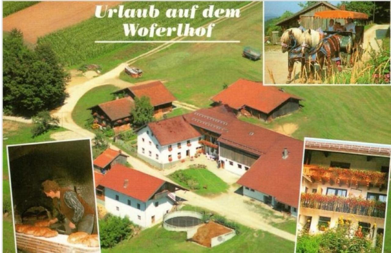 Woferlhof, Ferienhof Boxhorn Böbrach Exteriér fotografie