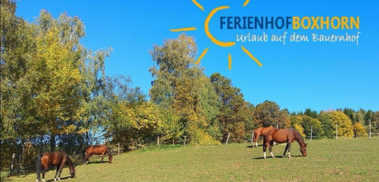 Woferlhof, Ferienhof Boxhorn Böbrach Exteriér fotografie