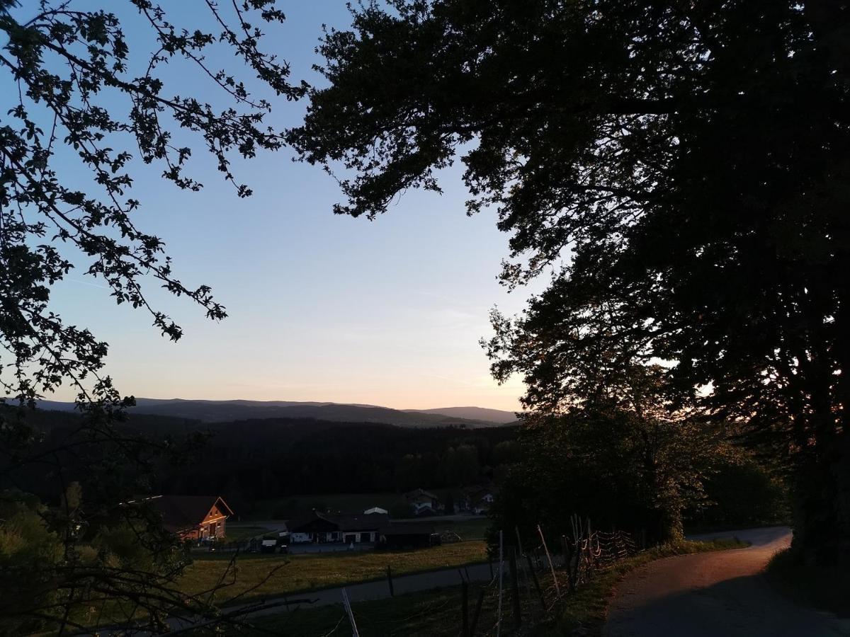 Woferlhof, Ferienhof Boxhorn Böbrach Exteriér fotografie