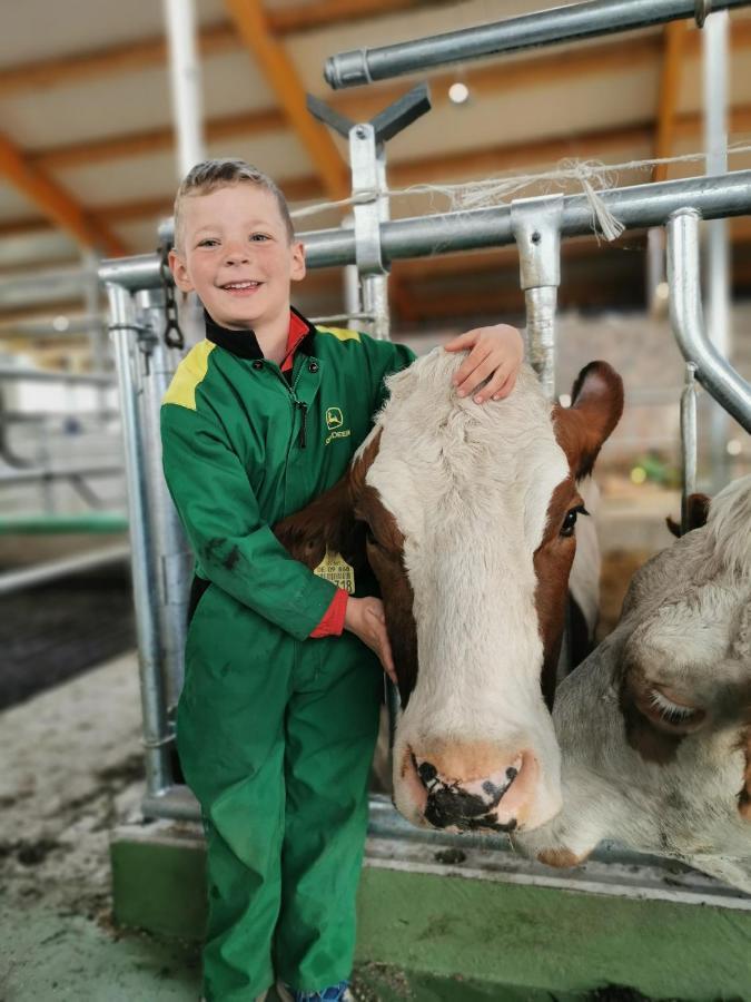 Woferlhof, Ferienhof Boxhorn Böbrach Exteriér fotografie