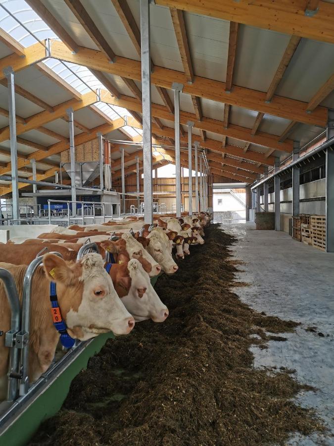 Woferlhof, Ferienhof Boxhorn Böbrach Exteriér fotografie
